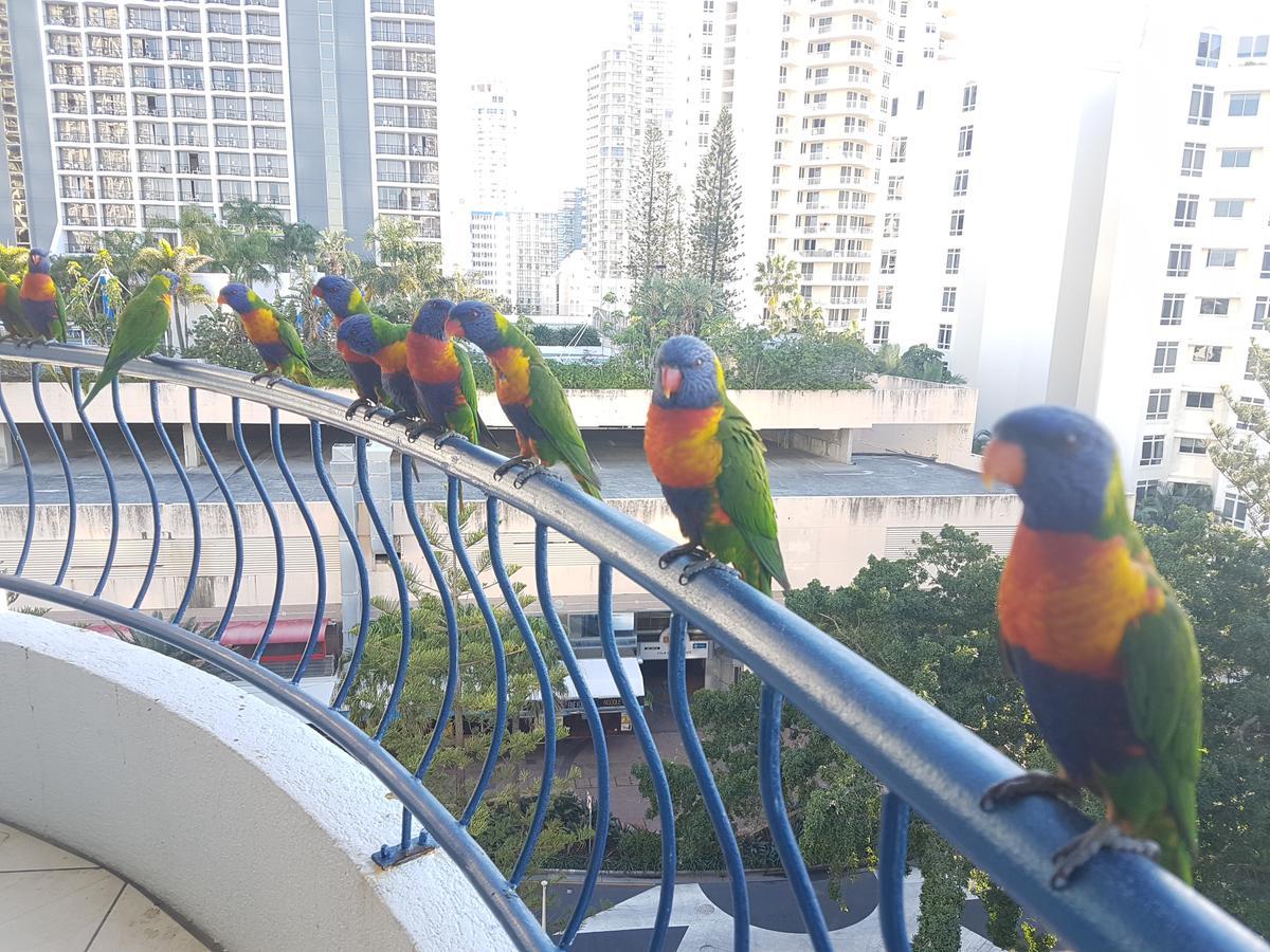 Monte Carlo Leilighet Surfers Paradise Eksteriør bilde